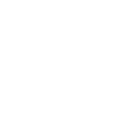 SINC · Sport Institute of Coaching